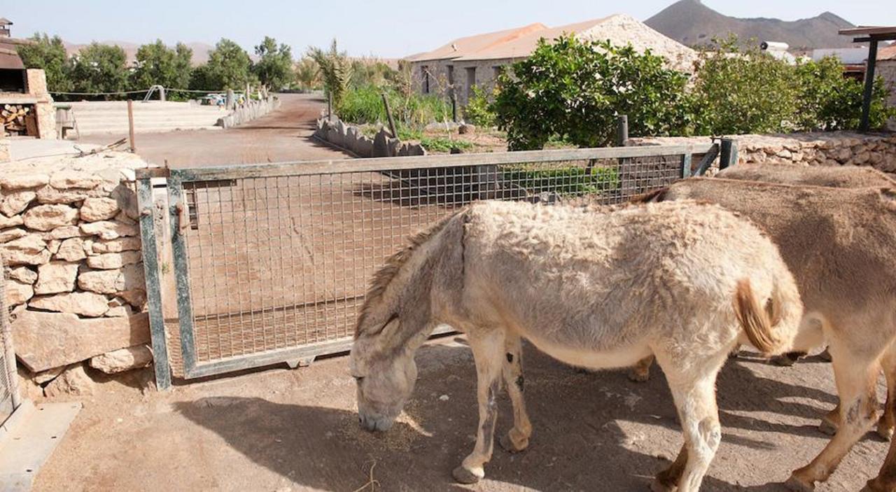Agroturismo La Gayria Тискаманита Экстерьер фото